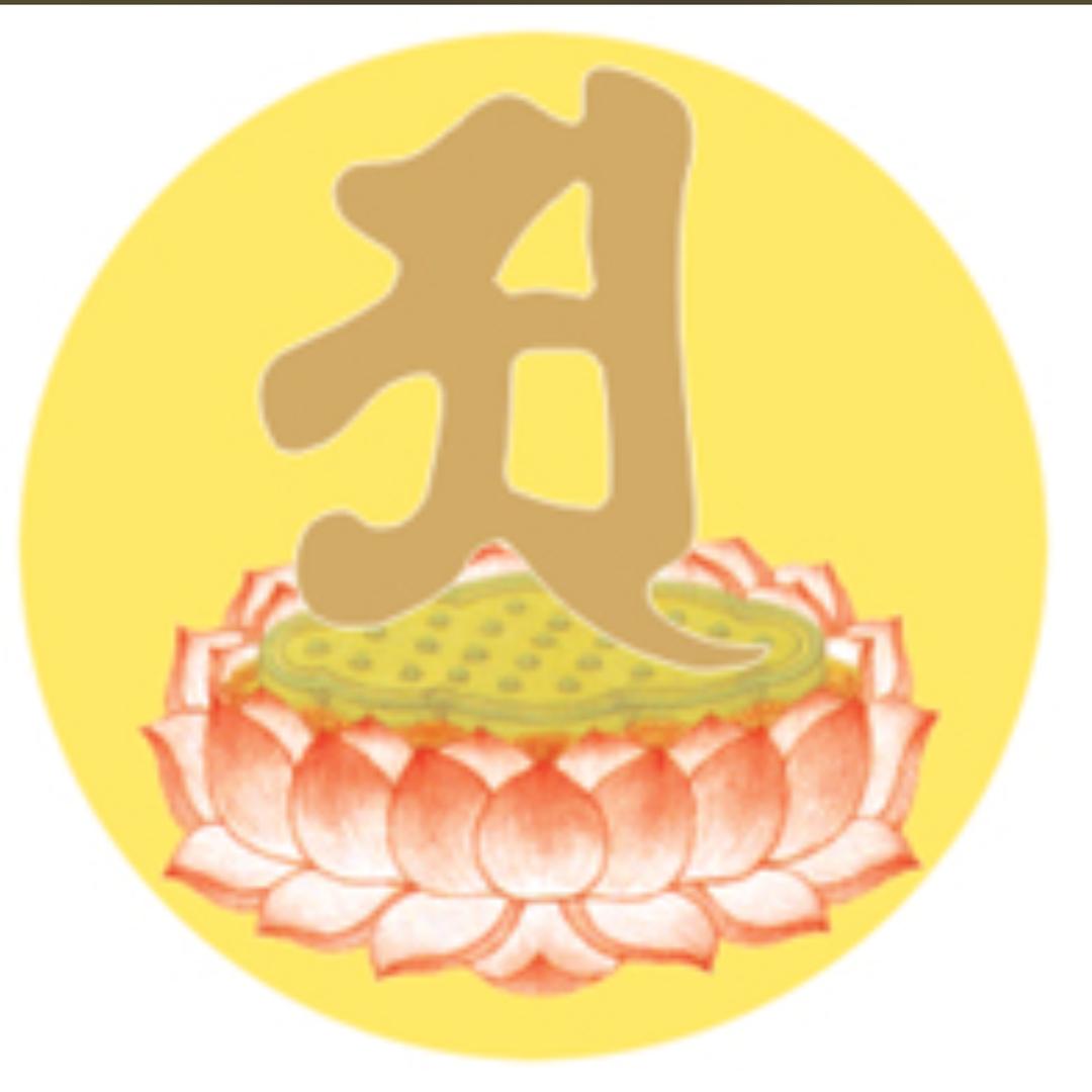 雍子