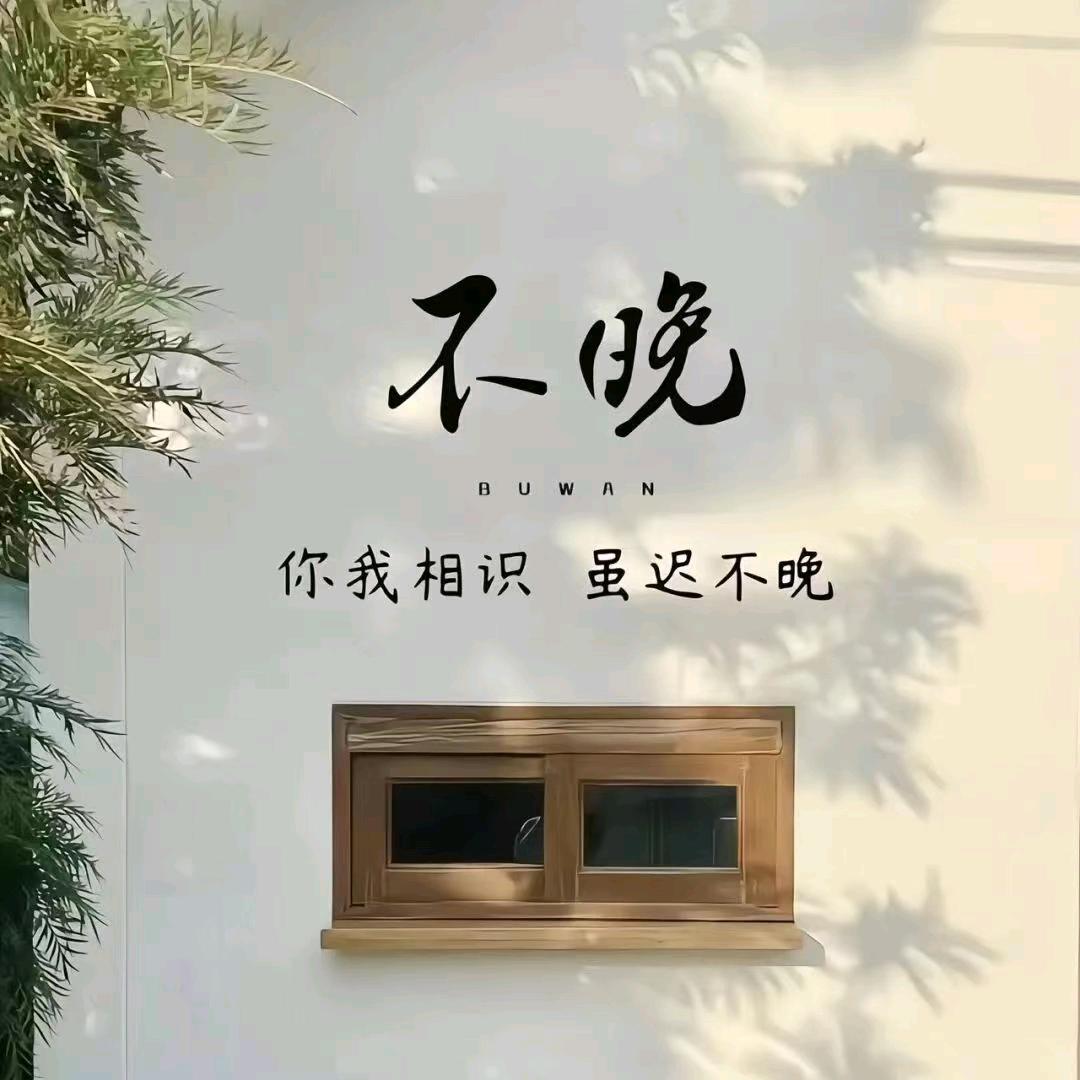 苏锦