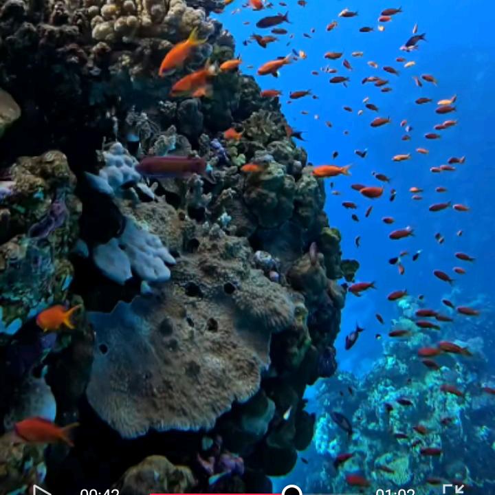 煨富