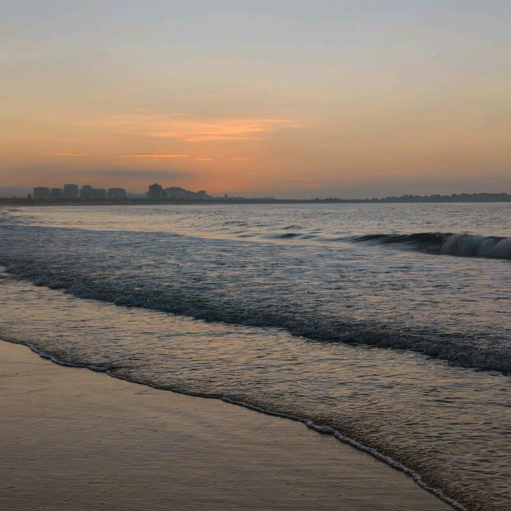大海