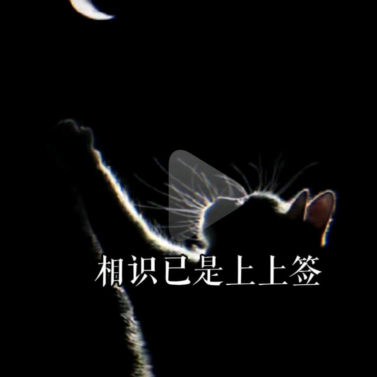 上上签(^-^)/头像