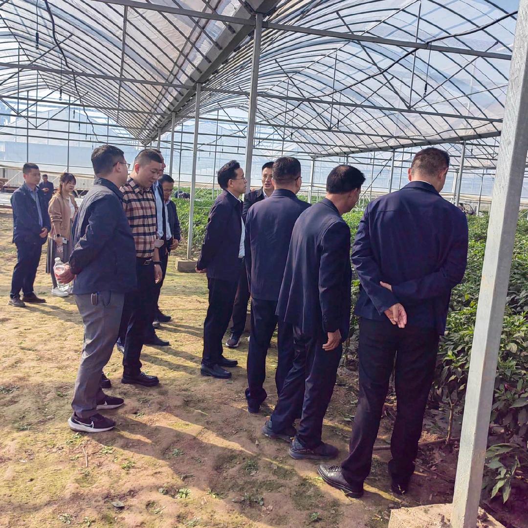肉连环种植基地