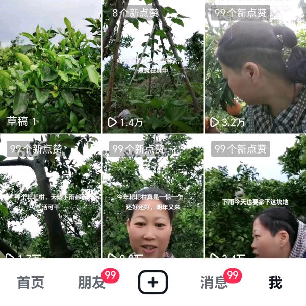666蓝色妖姬