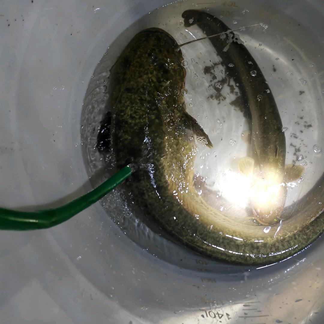 宁南县咕噜垂钓园