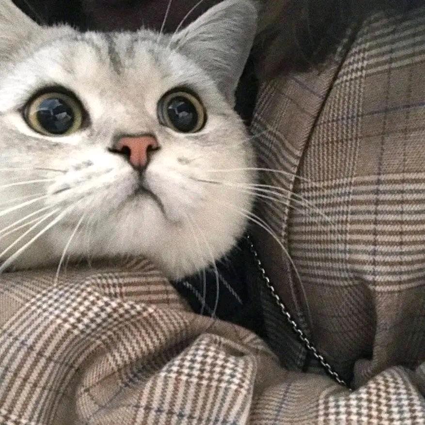 🍒᭄半颗꧔ꦿᩚ糖ꦿྀ💕