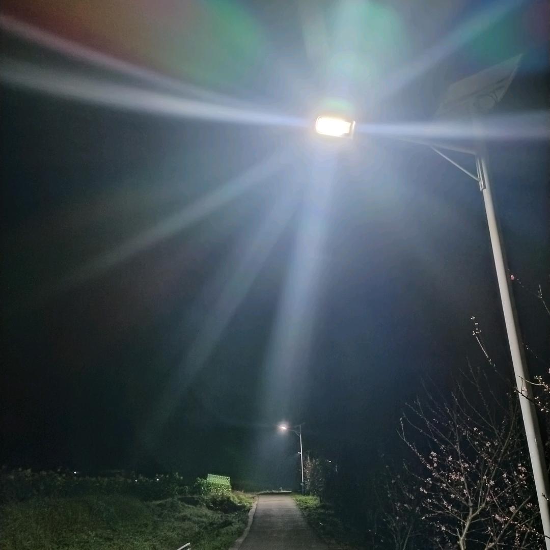 画夕