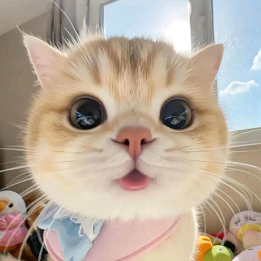 悠悠er