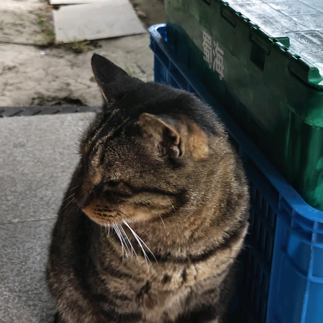 天上的一颗星🌈