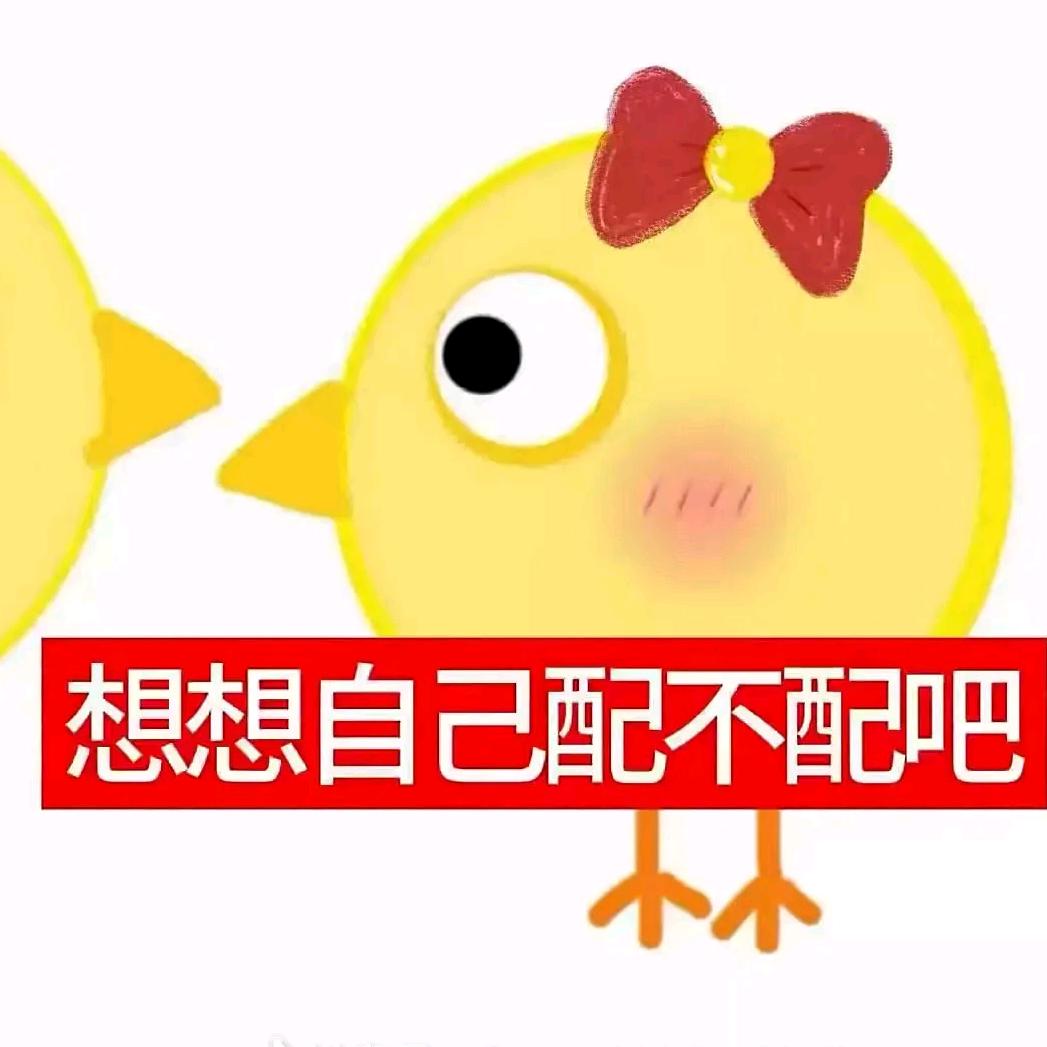 哈士基团团