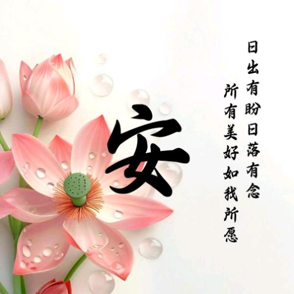 一身傲骨怎能服输