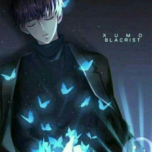 楠城柒忆