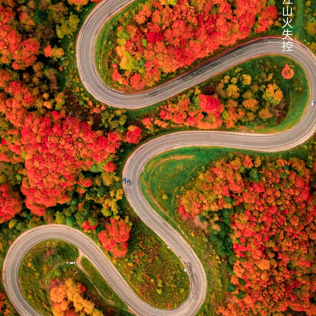 🏡不顾一切的奔跑🏡