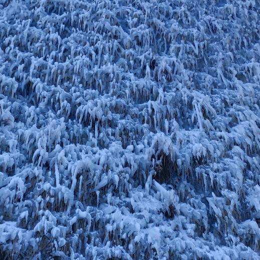 🏌先谋生♪在谋爱❤️❤️