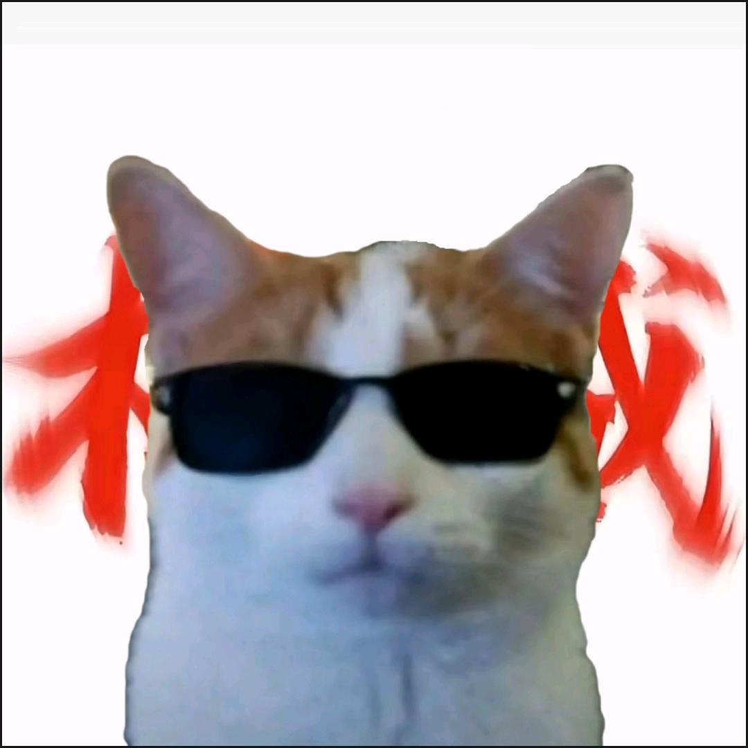 喵导