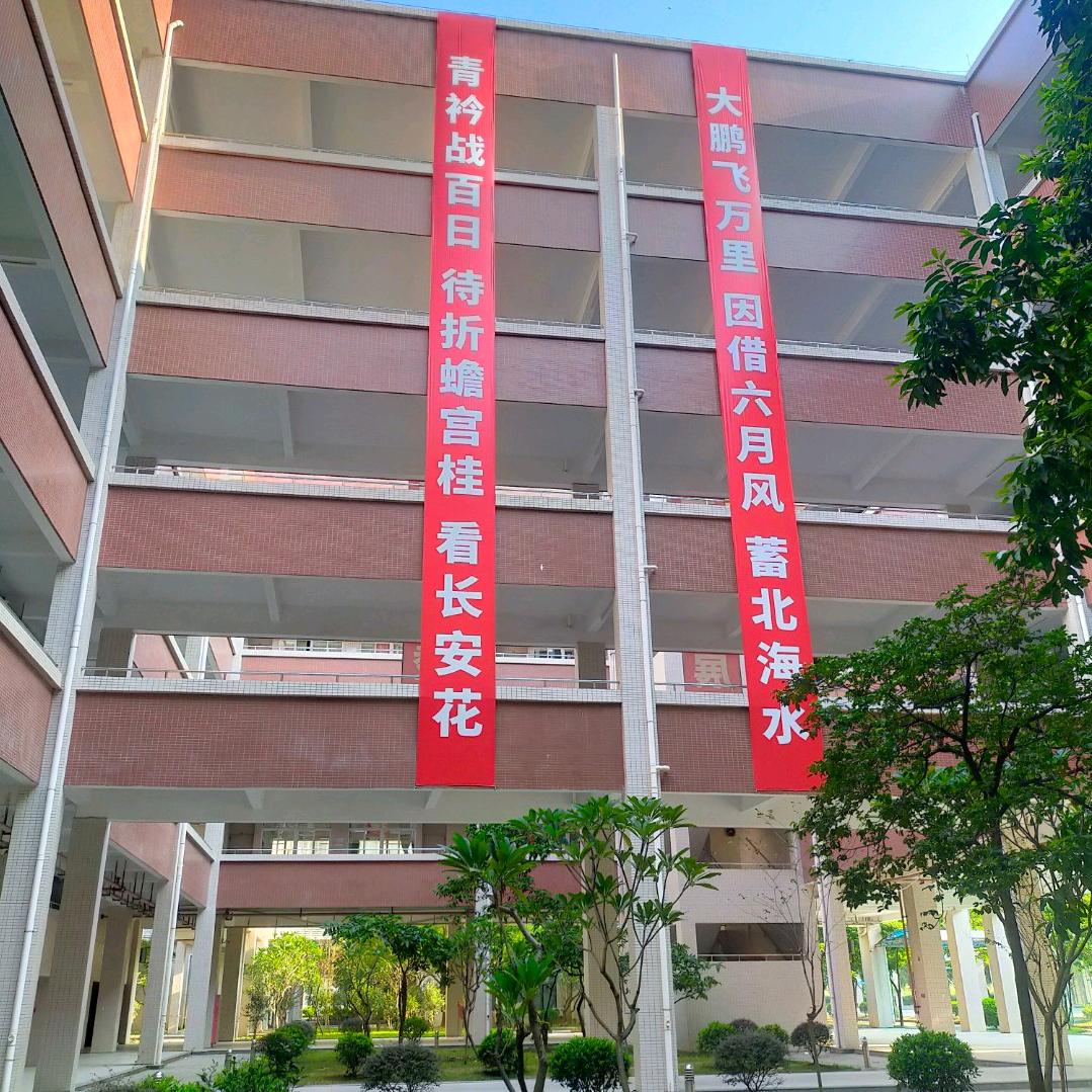 灰灰