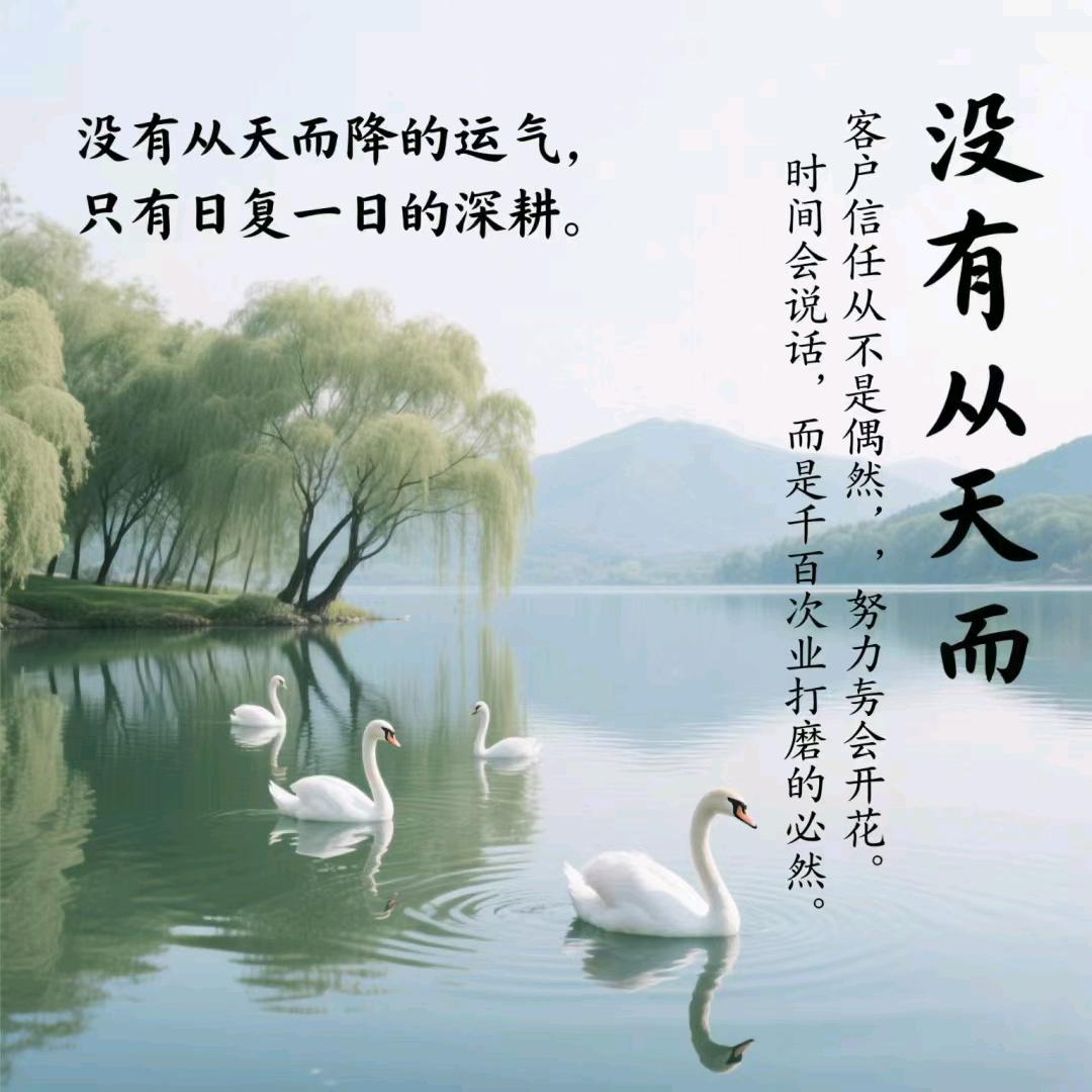 @天涯独行客🕺🏻