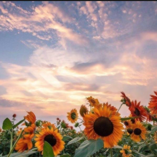 河南银运建设工程有限公司