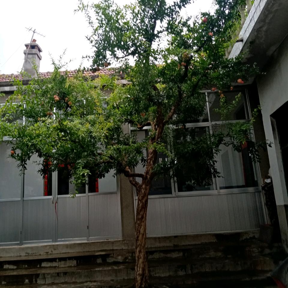 临沂快乐哥