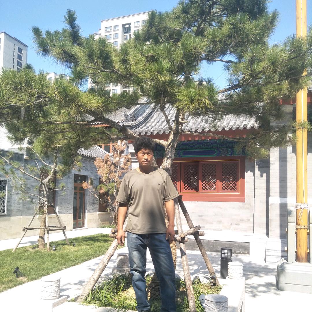 李庆建
