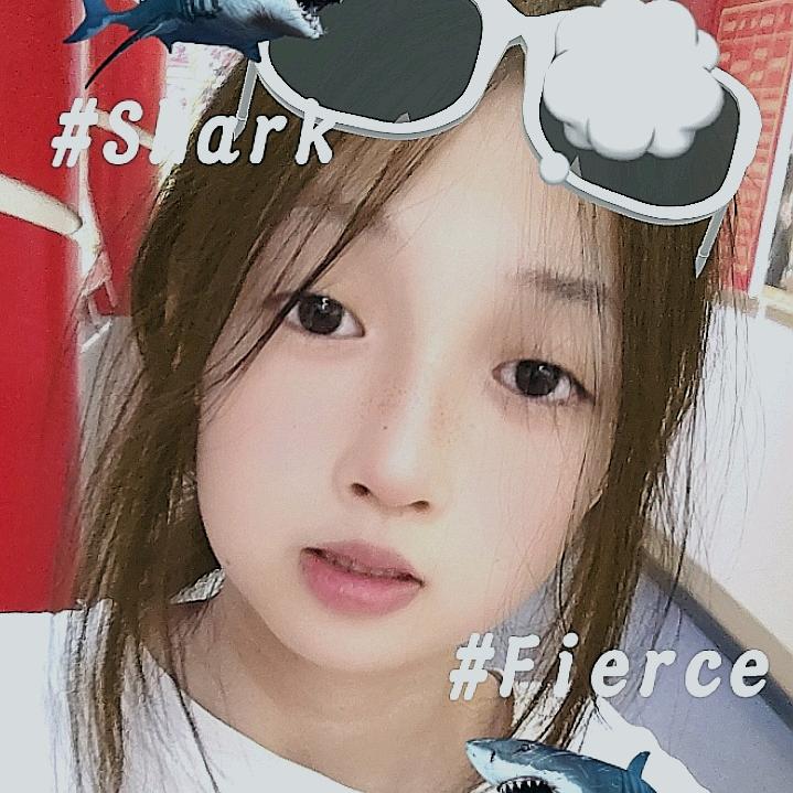 大石头🌝🌝