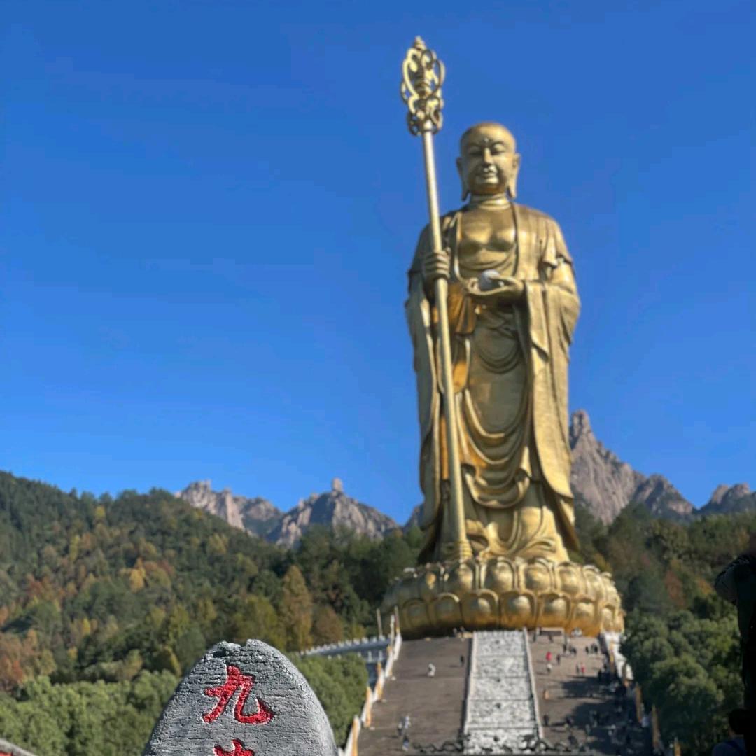 沈先森（不负遇见）