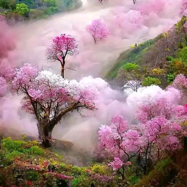 笑、淡化了那伤