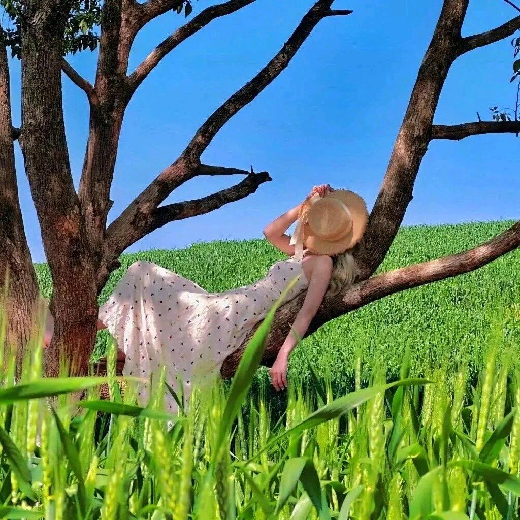 婉羿吖
