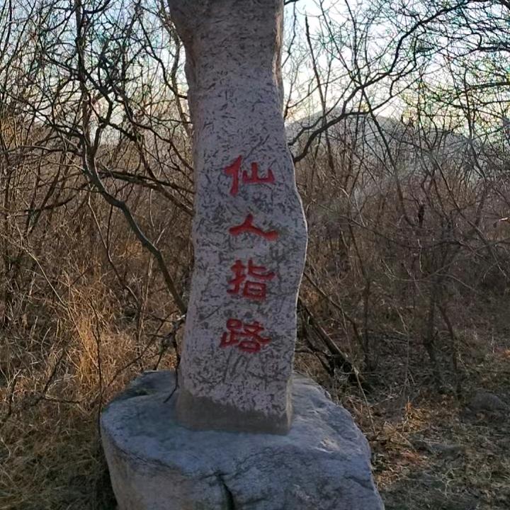 小任同学