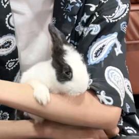 时尚达人蟑憨瑞