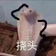 美丽国纯情男高