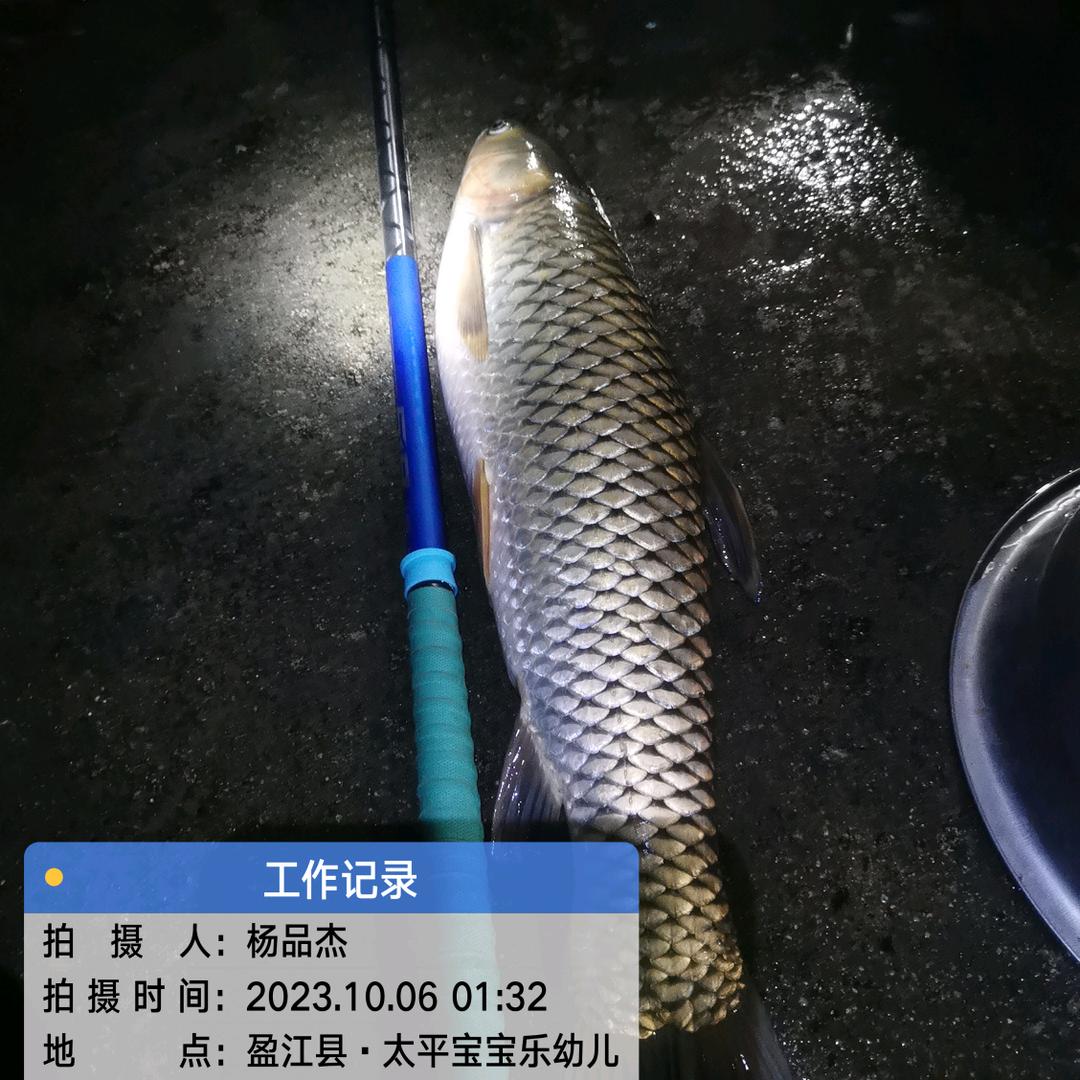 ☛盈江*^_^*老杨☚