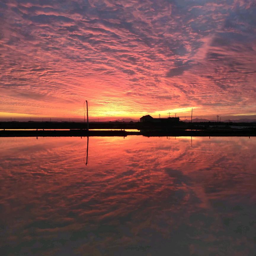 满山猴子我腚最红