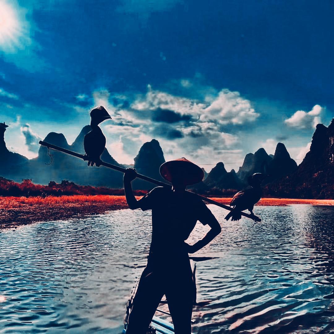 小白