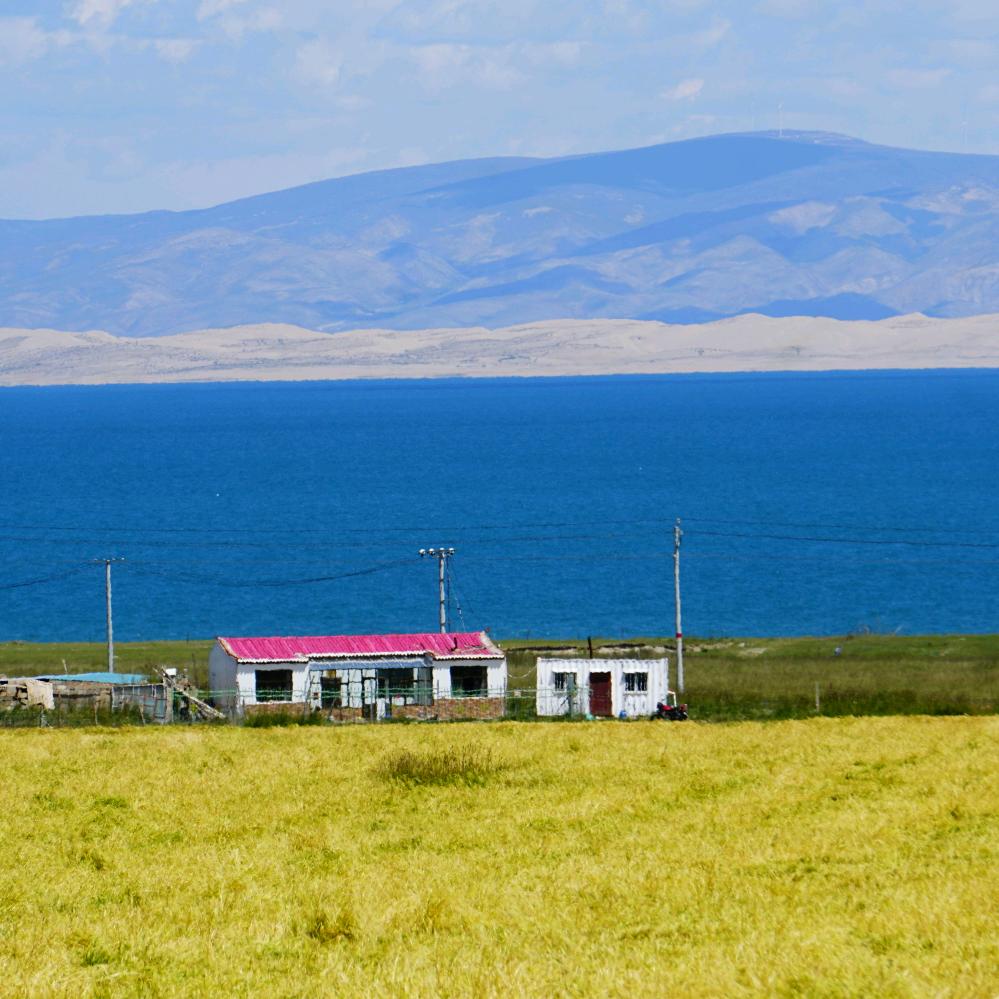 遂宁大学生家教