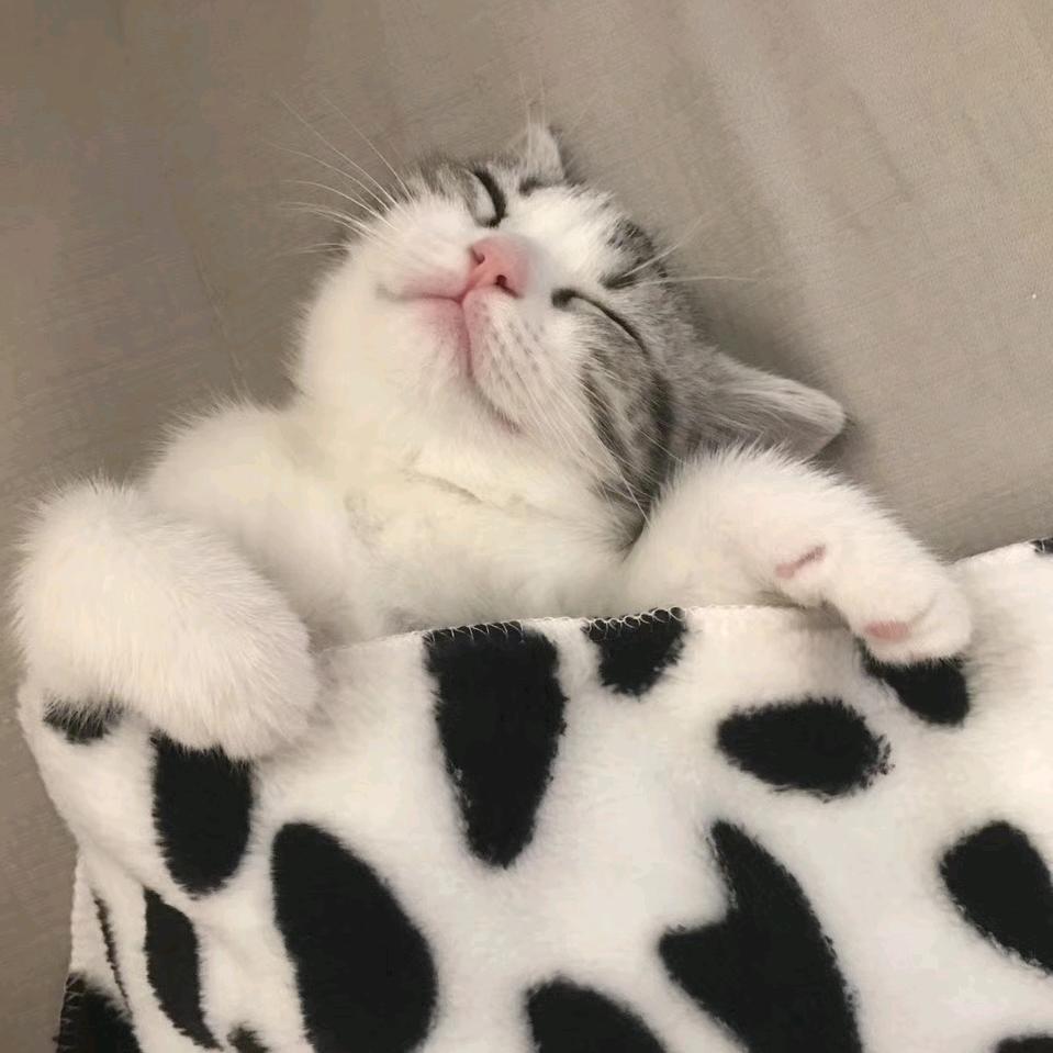 老余