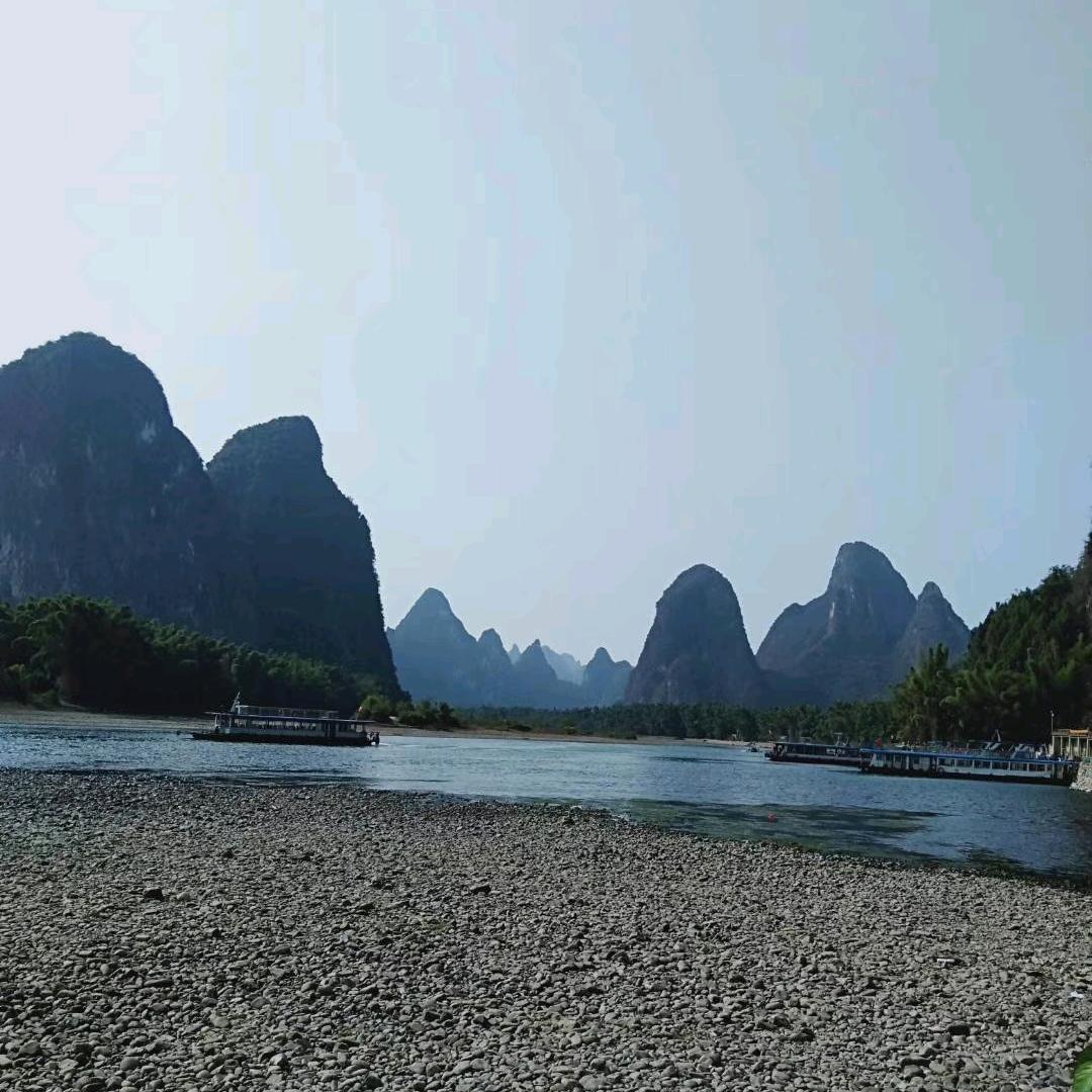 仙人掌
