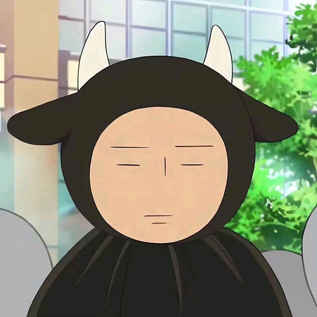 戏猫逗狗✨