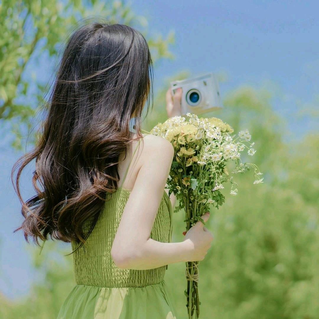 茉莉花