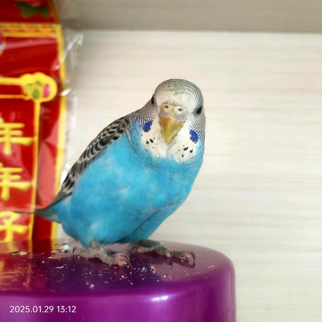。。。。。。。