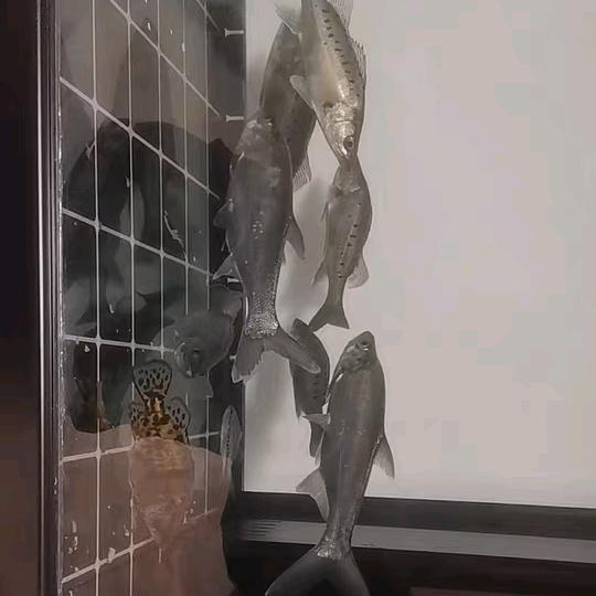 伊娃伊娃