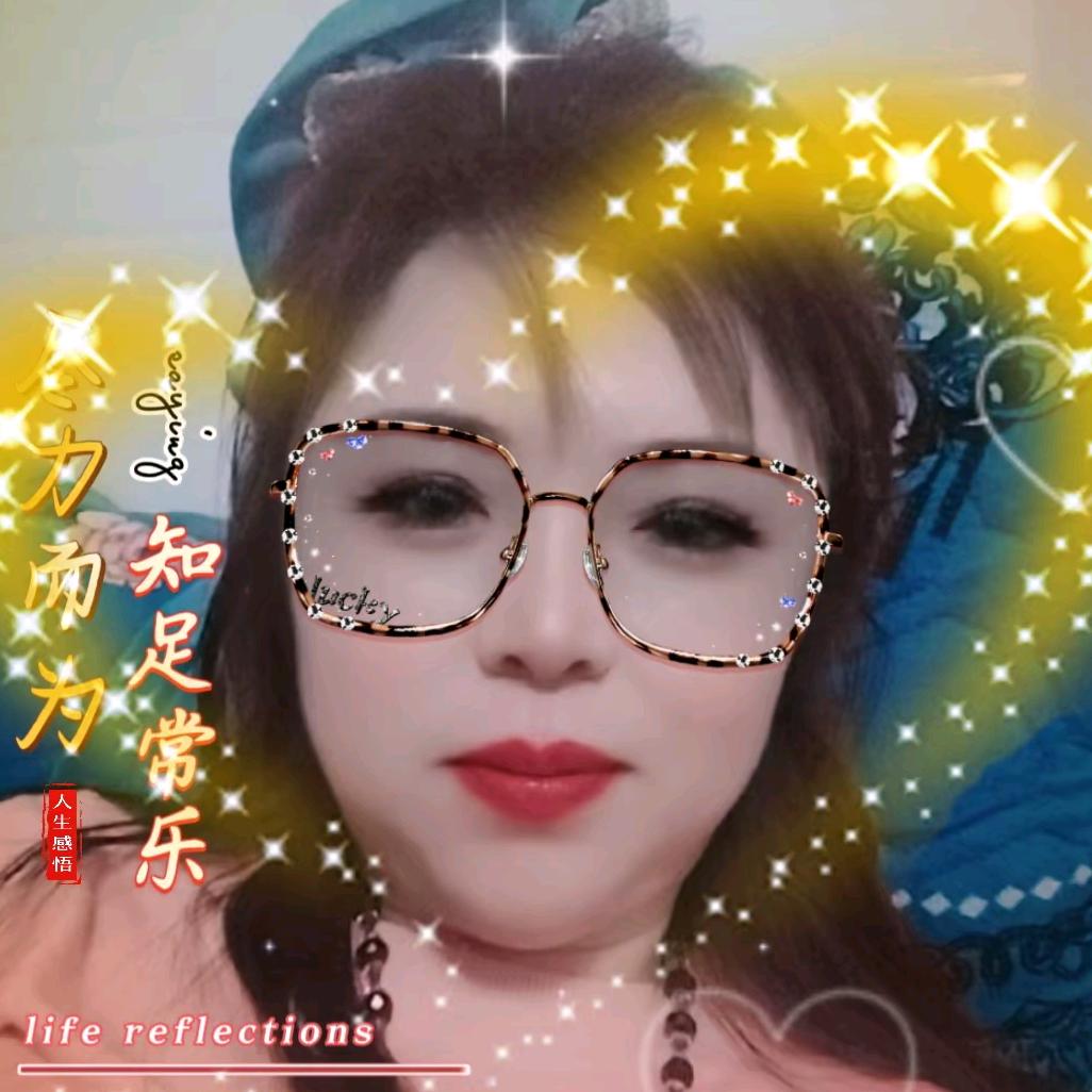 智慧     陕蒙煤炭直销
