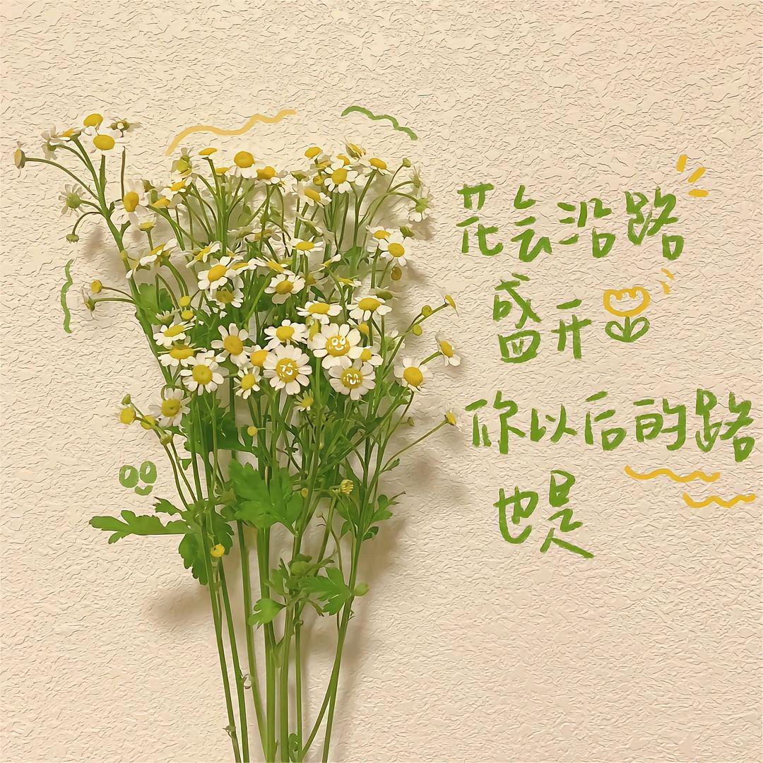 奇奇妙妙屋