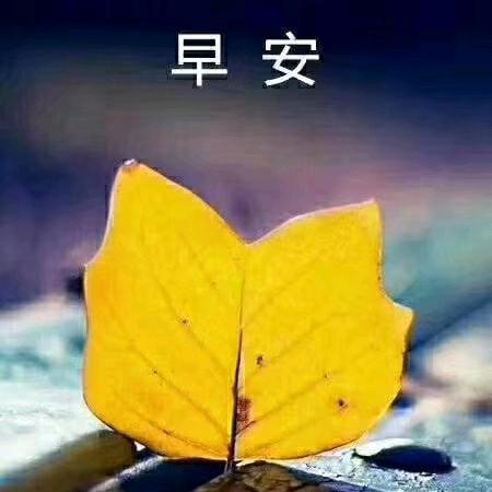 在海边种浪漫