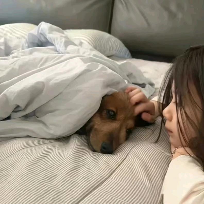不想说再见
