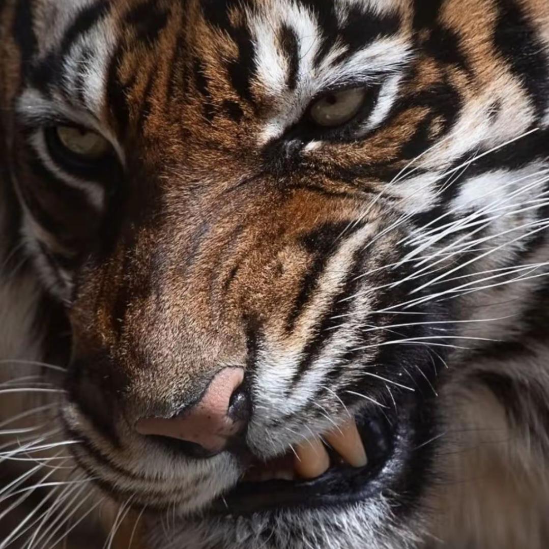 做梦梦见CP大床房而我在床底