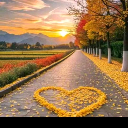 平安等你🇨🇳🇨🇳