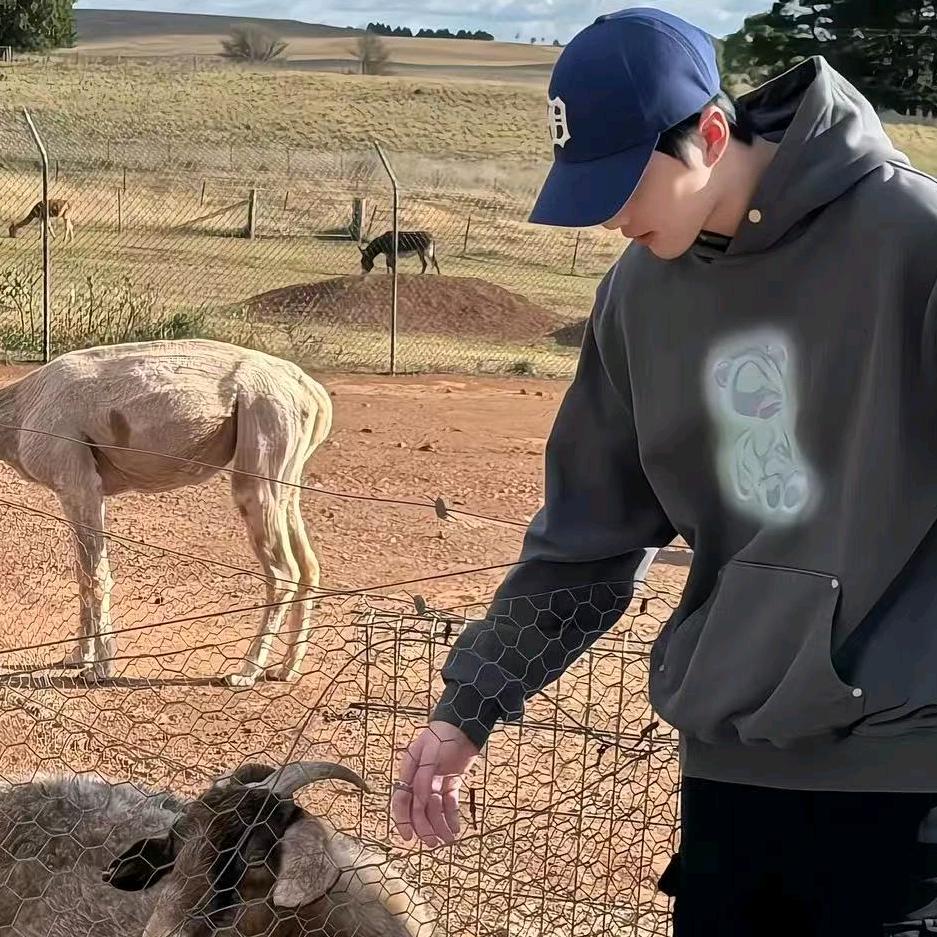 沈泽（三角洲扶贫主播）