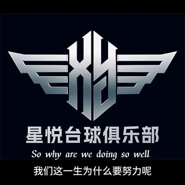 西苏星悦台球厅《 峰  》