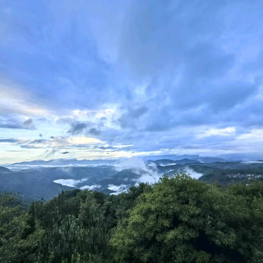 顺理成张