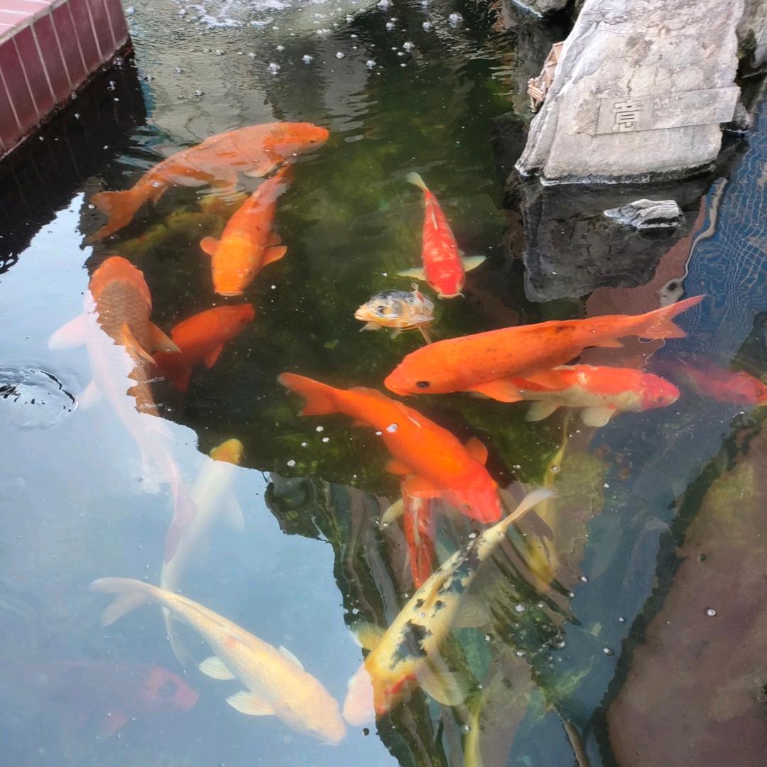 马拉松水电装修